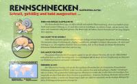 rennschnecke2.jpg
