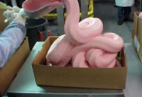 pink_slime_0.png