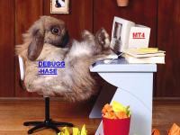 ostern.jpg