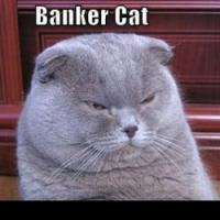 bankercat1.jpg
