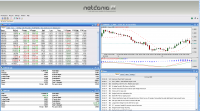 netdania_netstation.png