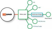 graphic_metatrader_bridge.jpg