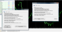 capture133.gif