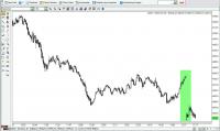 Dax.jpg
