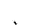 AvatarFliege.gif