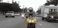 Kawashaki stunt gone wrong.gif