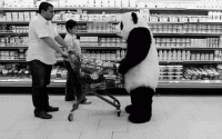 1o.gif